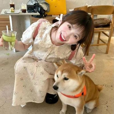 城下町的蒲公英